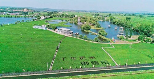 美麗鄉(xiāng)村 清涼避暑勝地與環(huán)境檢測服務(wù)的雙重魅力