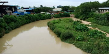 治水攻堅戰(zhàn) 新華街水環(huán)境治理進行時——8月30日至9月1日戰(zhàn)報