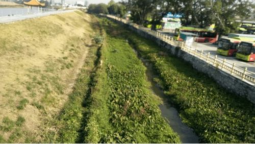 治水攻堅戰(zhàn) 新華街水環(huán)境治理進行時——12月6日戰(zhàn)報