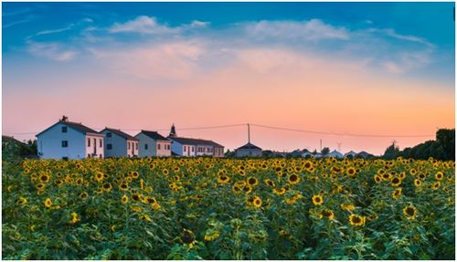 年度環境治理榜單公布 成果、挑戰與展望