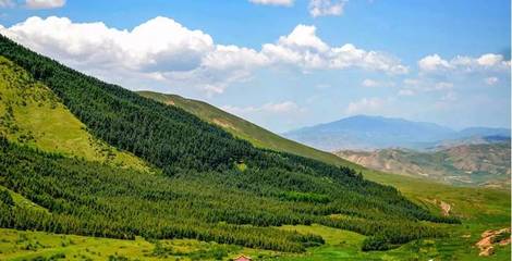 景泰縣多措并舉 繪就生態宜居新畫卷