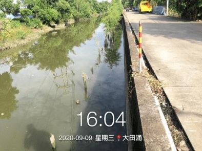 守護碧水清波 石岐河涌環境治理打響“四大戰役”，環境檢測服務保駕護航